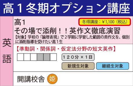 その場で添削!!英作文徹底演習