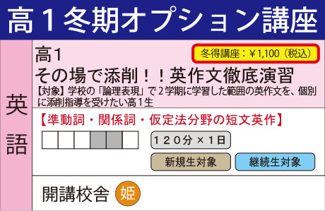 その場で添削！！英作文徹底演習