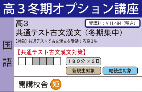 共通テスト古文漢文（冬期集中）