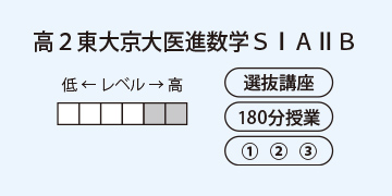 高2東大京大医進数学SⅠAⅡB