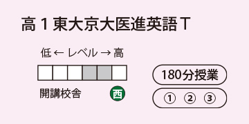 高1東大京大医進英語T