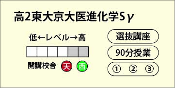 高２東大京大医進化学Ｓγ