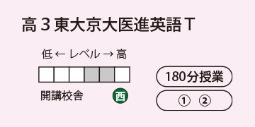 高3東大京大医進英語T