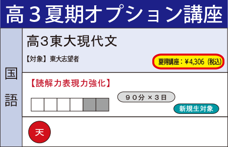 高３東大現代文