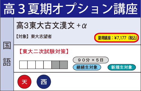 高３東大古文漢文+α